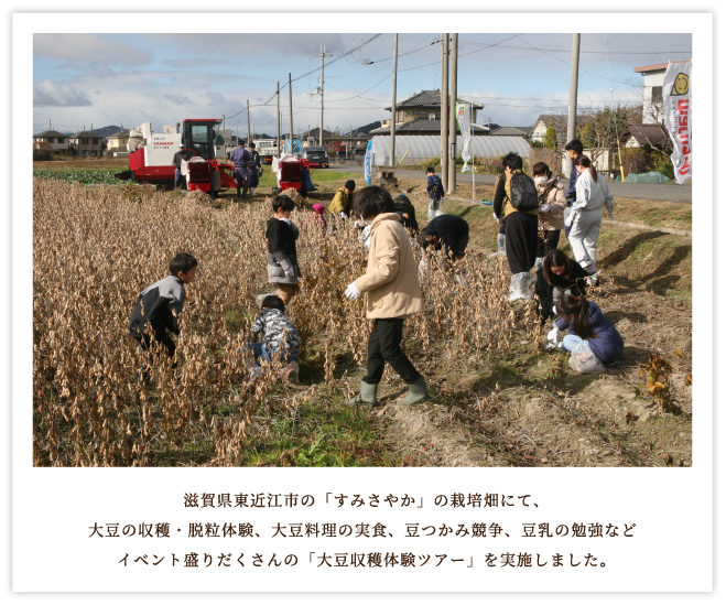 滋賀県東近江市の「すみさやか」の栽培畑にて、大豆収穫・脱粒体験、大豆料理の実食、豆つかみ競争・豆乳の勉強などイベント盛りだくさんの「大豆収穫体験ツアー」を実施しました。