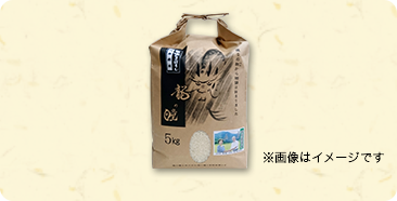 写真：特別栽培米「龍の瞳」5kg※画像はイメージです