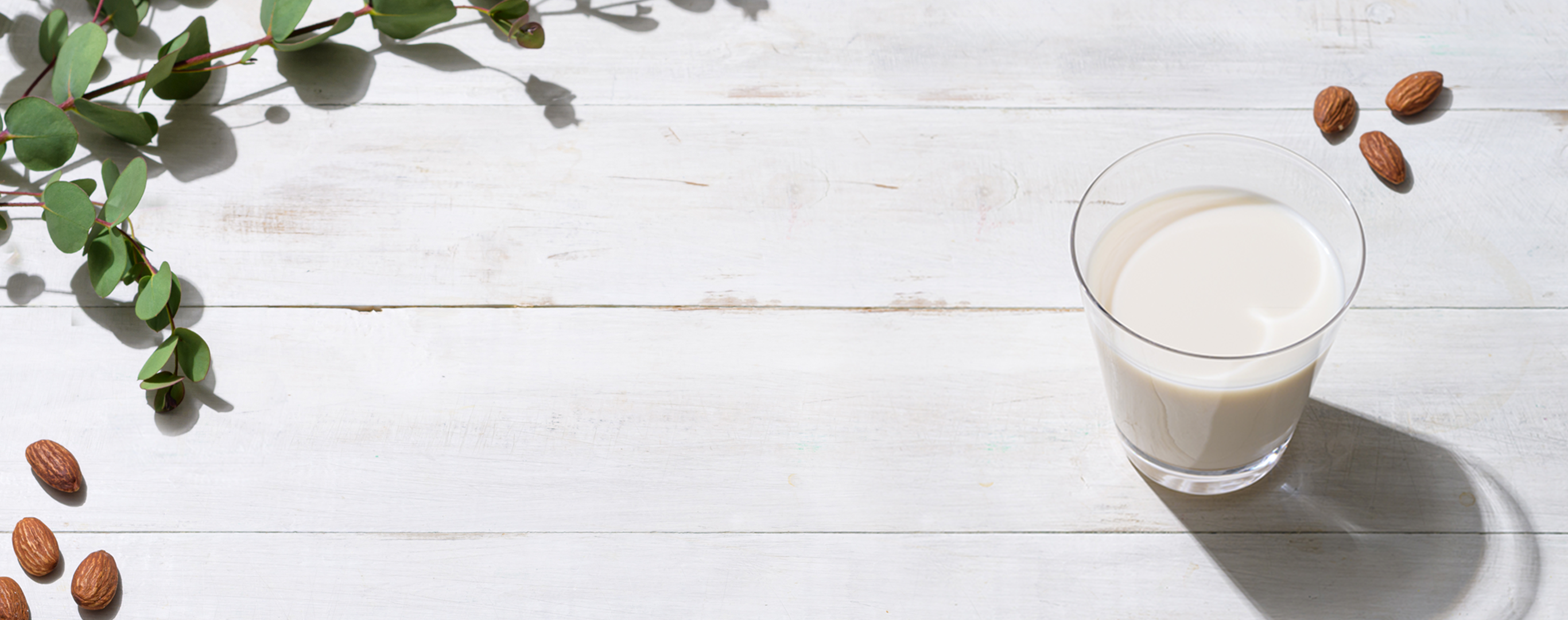 ALMOND MILK RECIPE Everyday delicious roasted almond milk is good for beauty and cooking