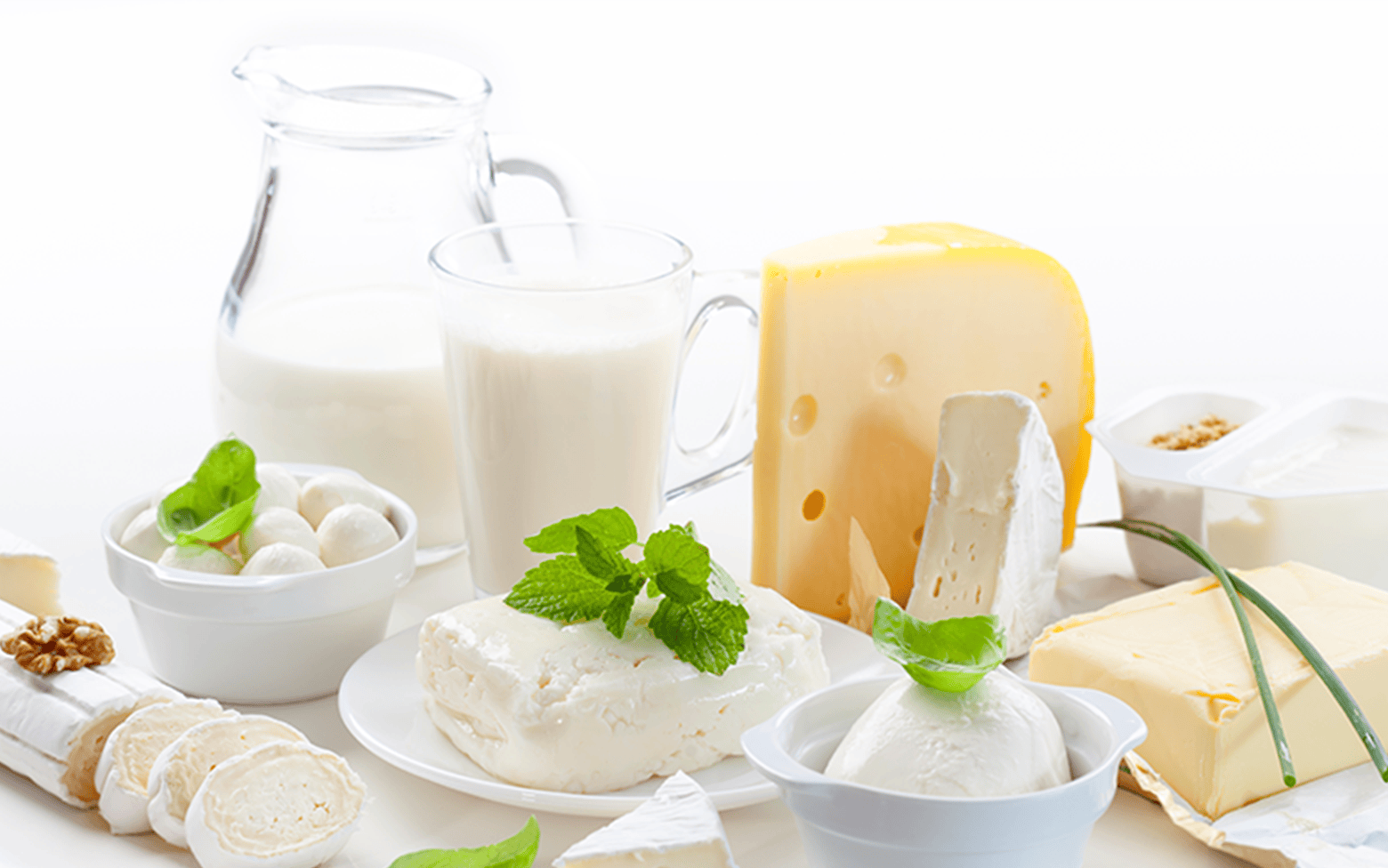 画像：骨は、カルシウムの貯蔵庫