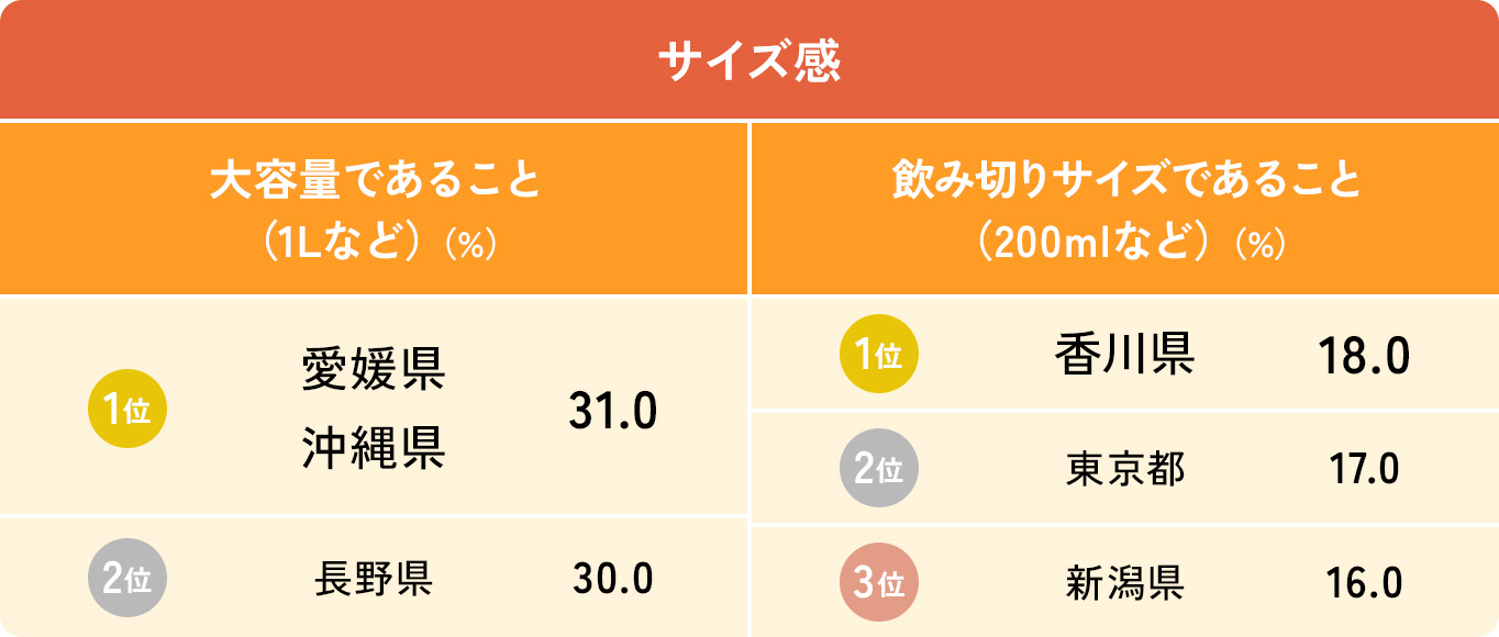 画像：サイズ感
