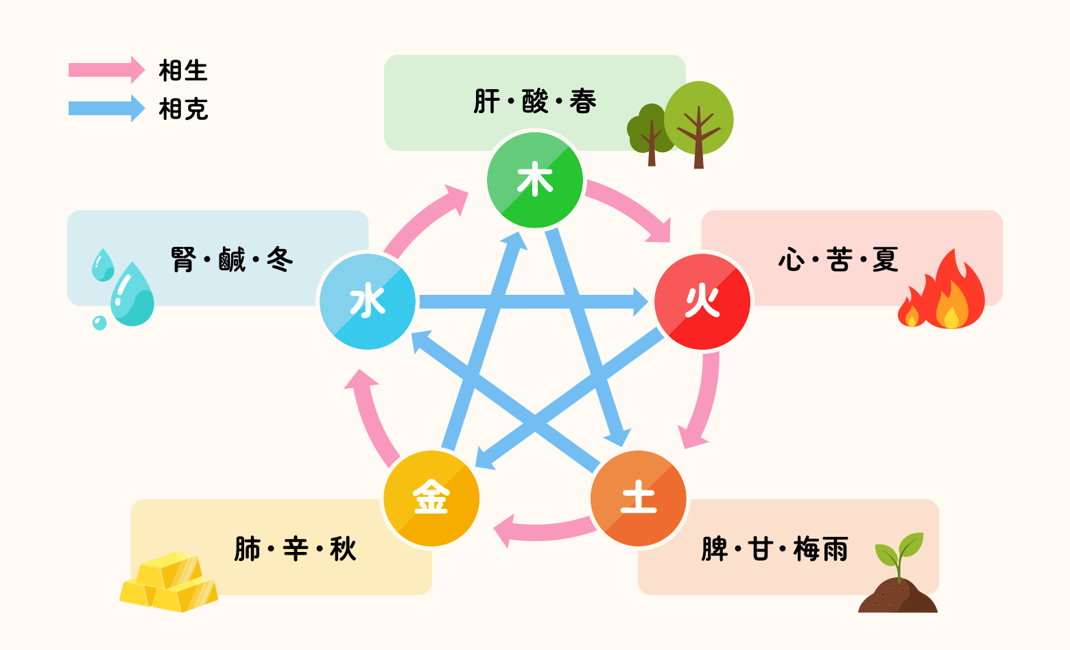図：陰陽と五行の関係