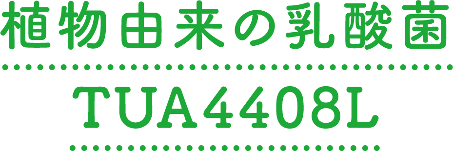 植物由来の乳酸菌TUA4408L