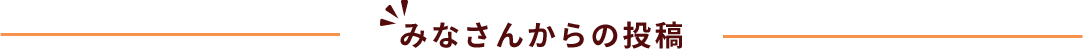 みなさんからの投稿