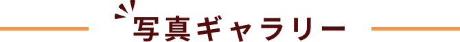 写真ギャラリー